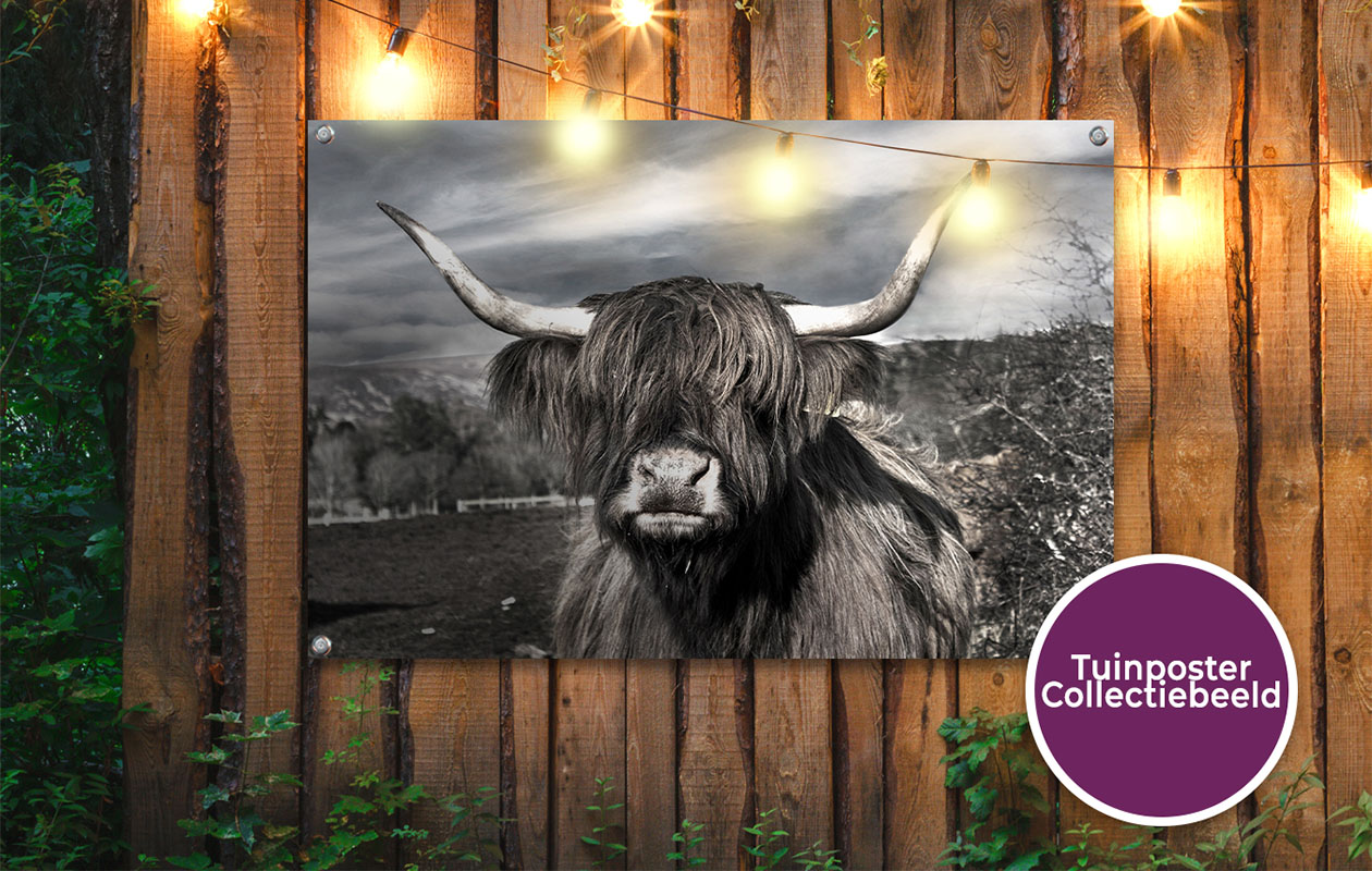 Ontvang €49 korting op een tuinposter naar keuze (120 x 80 cm)