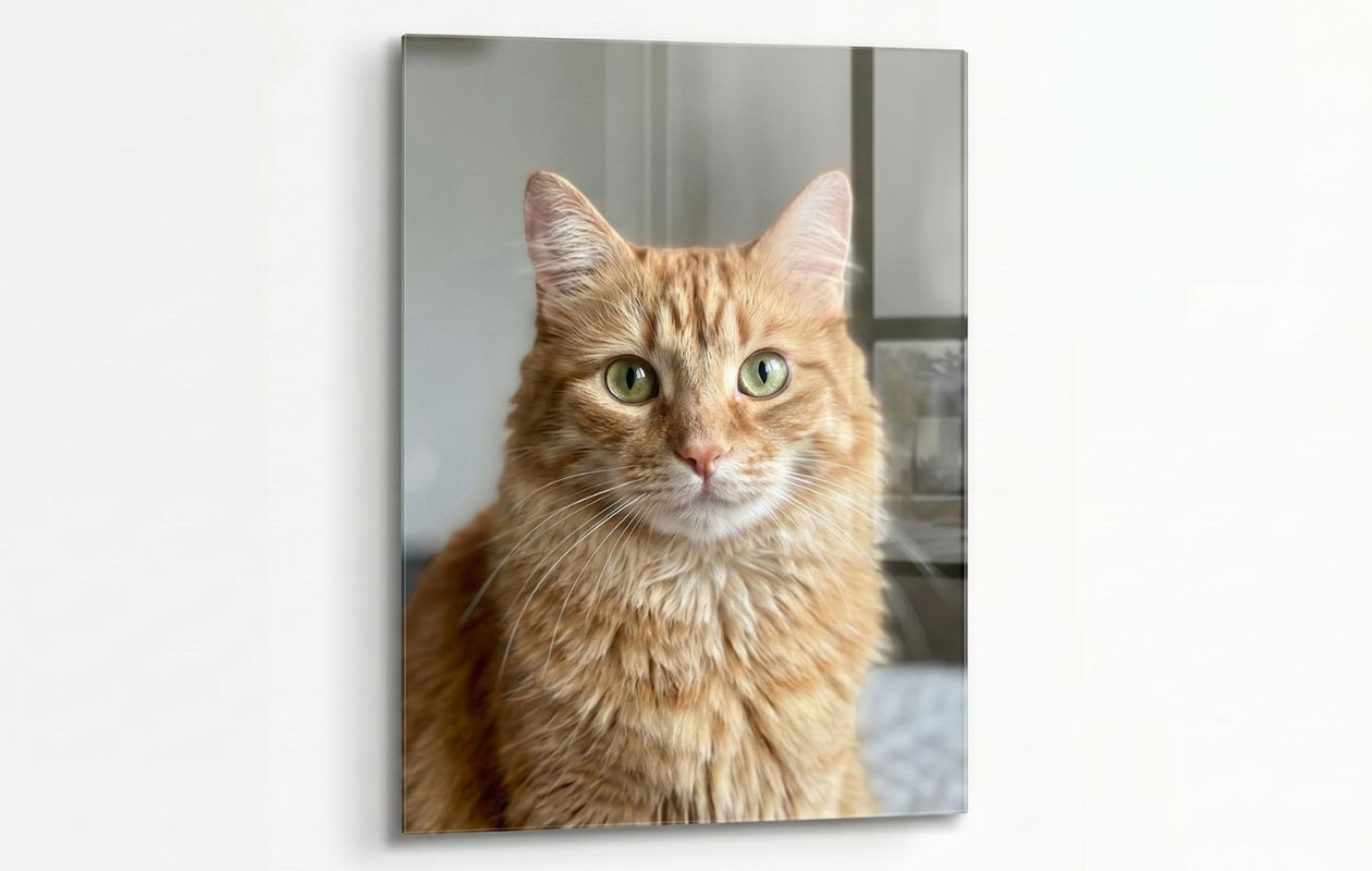 Photo XXL sur plexiglas (120 x 80 cm) – Bénéficiez de 130 € de réduction