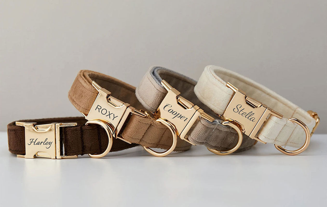 Ontvang €20 korting op een gepersonaliseerde halsband voor je huisdier