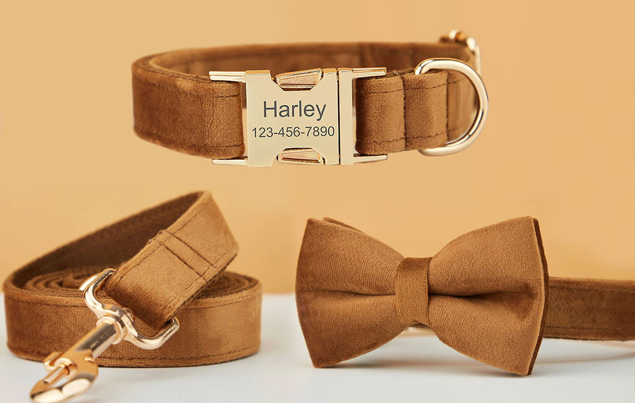 Ontvang €20 korting op een gepersonaliseerde halsband voor je huisdier