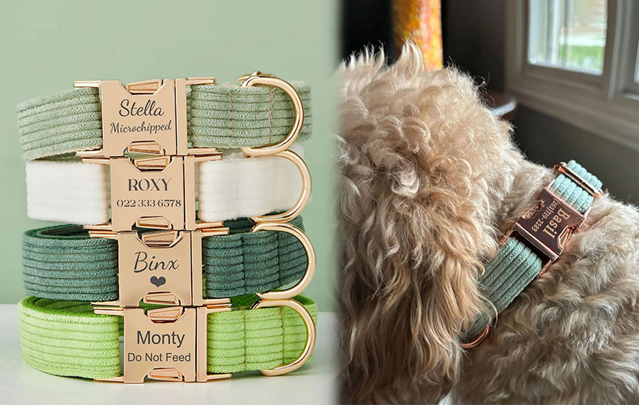 Ontvang €20 korting op een gepersonaliseerde halsband voor je huisdier