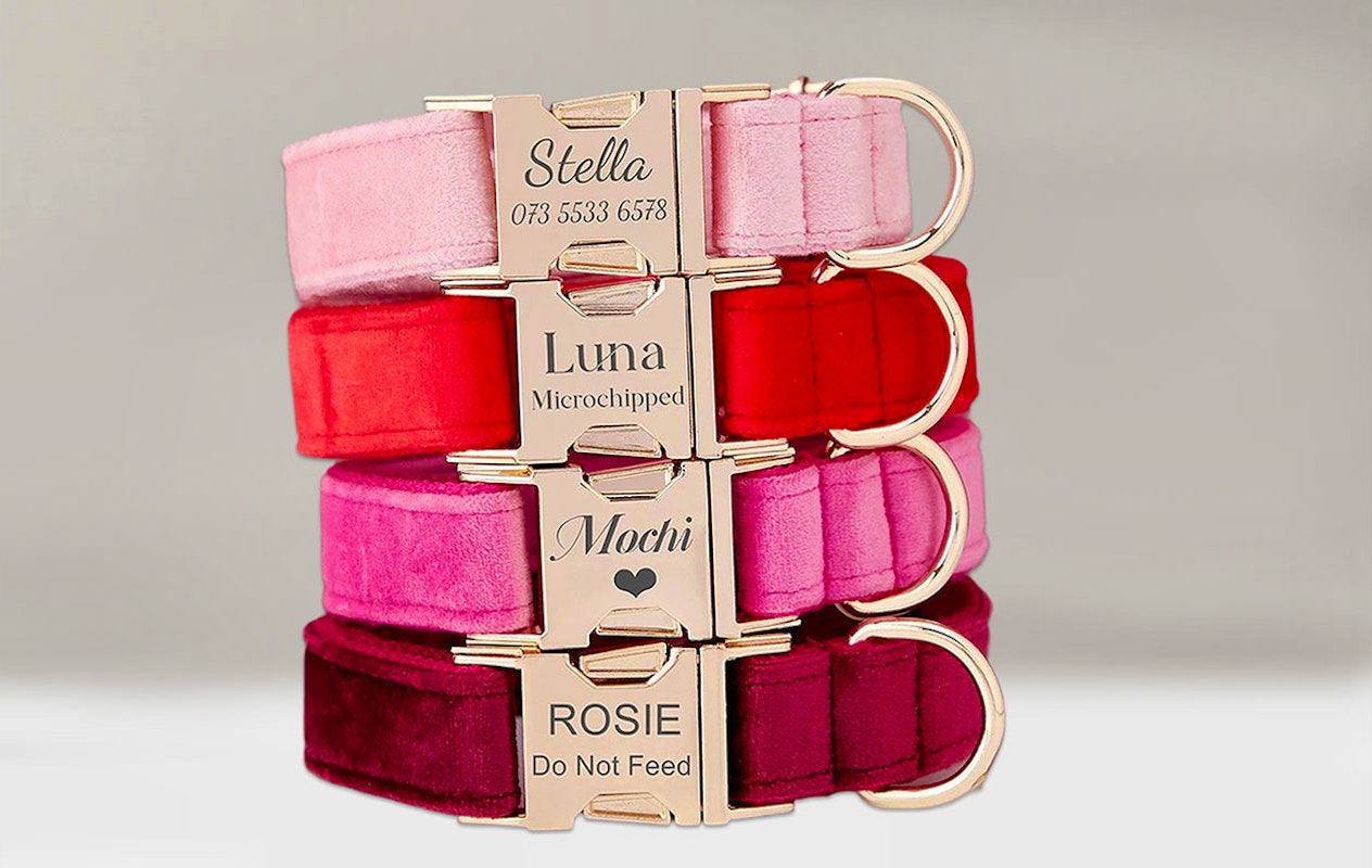 Ontvang €20 korting op een gepersonaliseerde halsband voor je huisdier