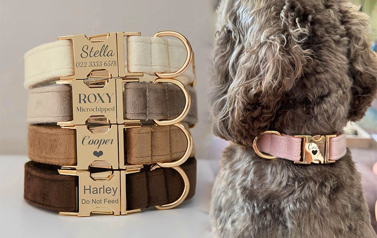 Ontvang €20 korting op een gepersonaliseerde halsband voor je huisdier