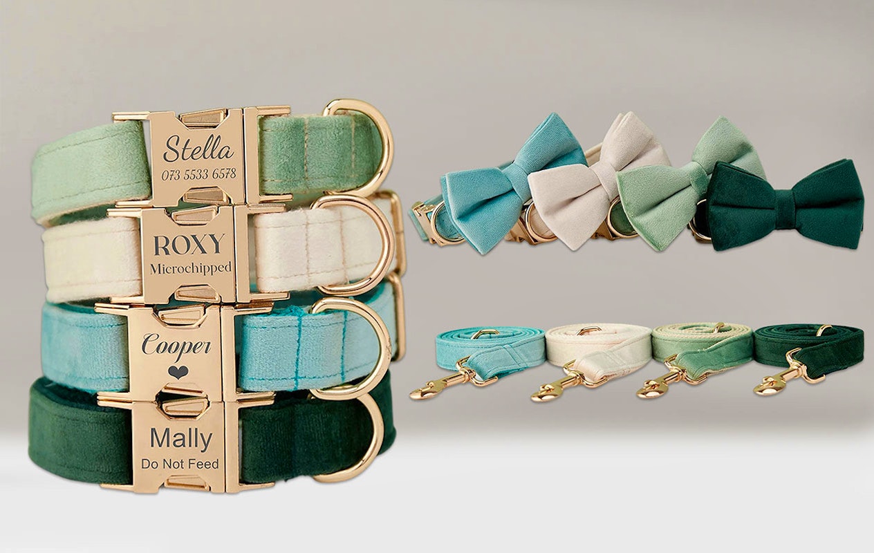 Ontvang €20 korting op een gepersonaliseerde halsband voor je huisdier