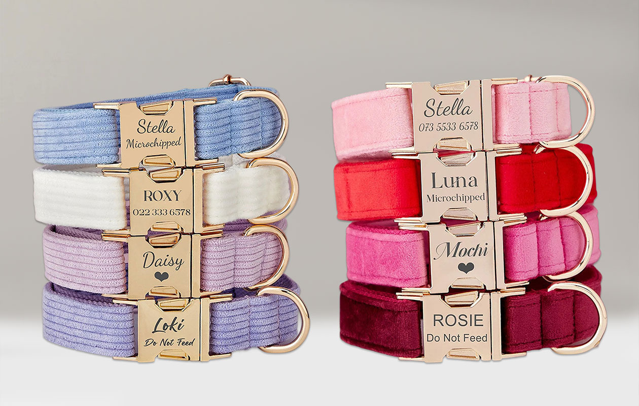 Ontvang €20 korting op een gepersonaliseerde halsband voor je huisdier
