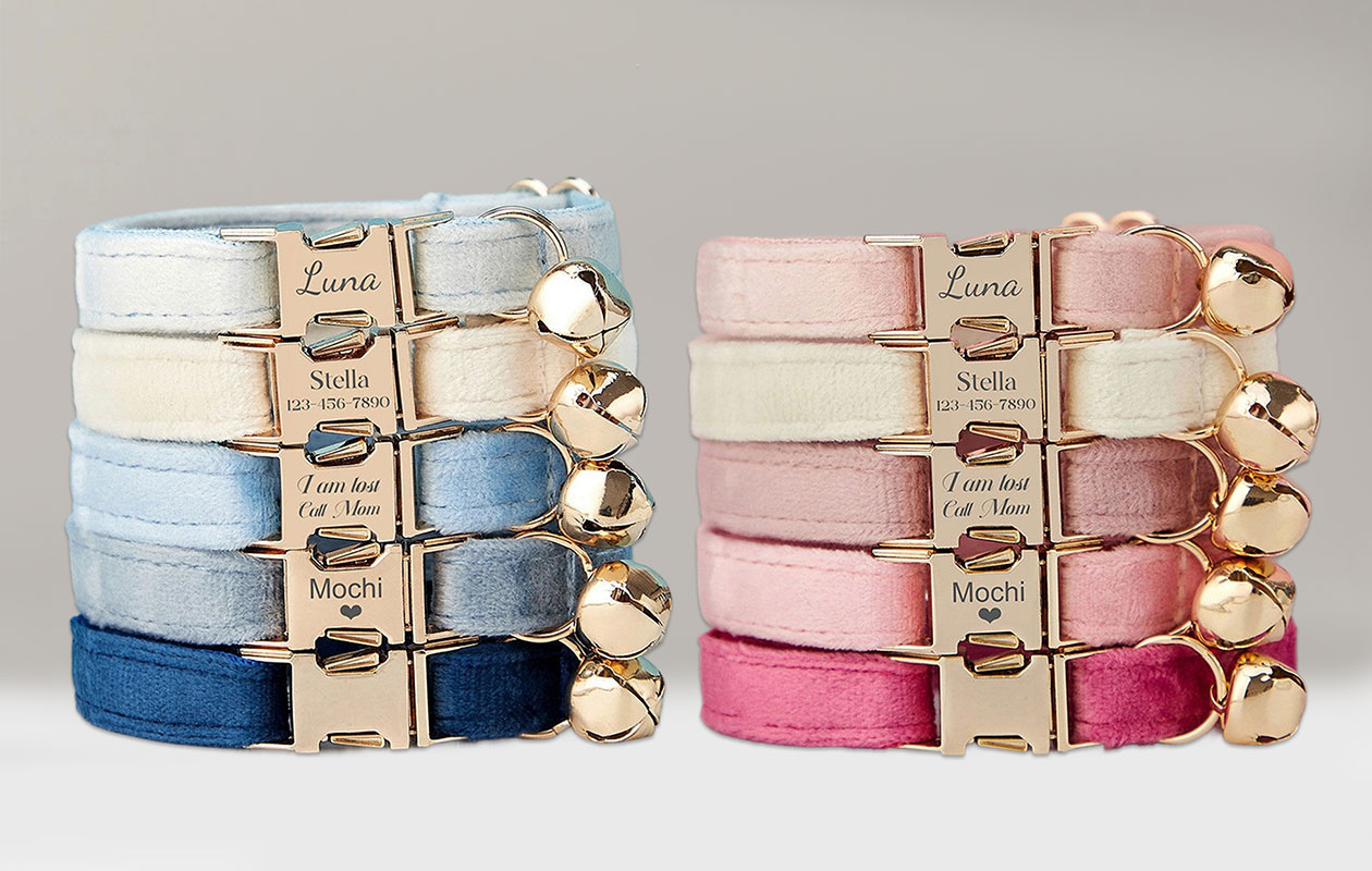 Ontvang €20 korting op een gepersonaliseerde halsband voor je huisdier