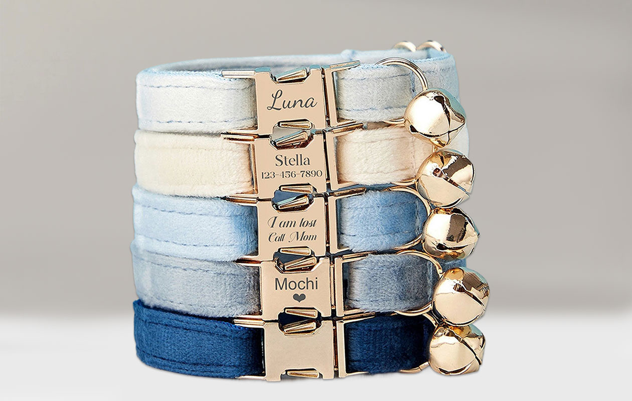 Ontvang €20 korting op een gepersonaliseerde halsband voor je huisdier