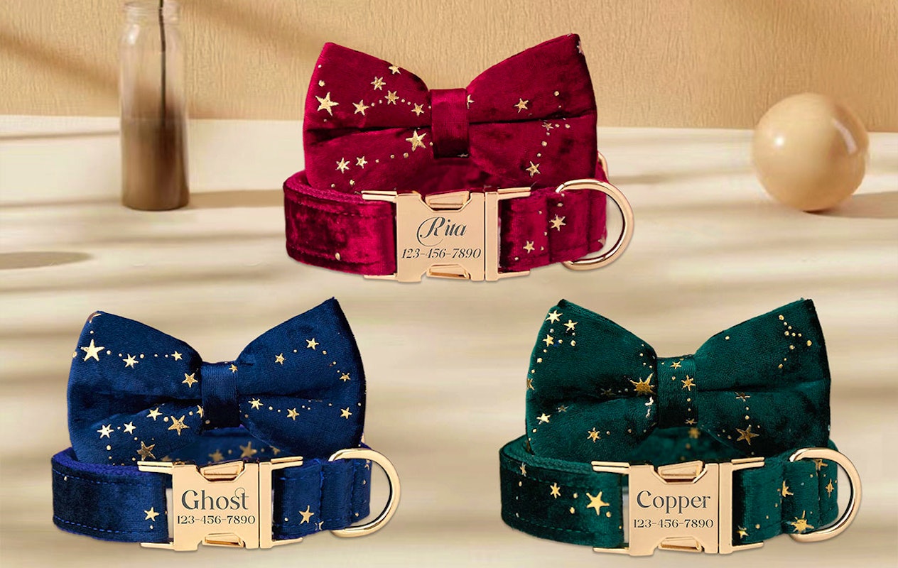 Ontvang €20 korting op een gepersonaliseerde halsband voor je huisdier