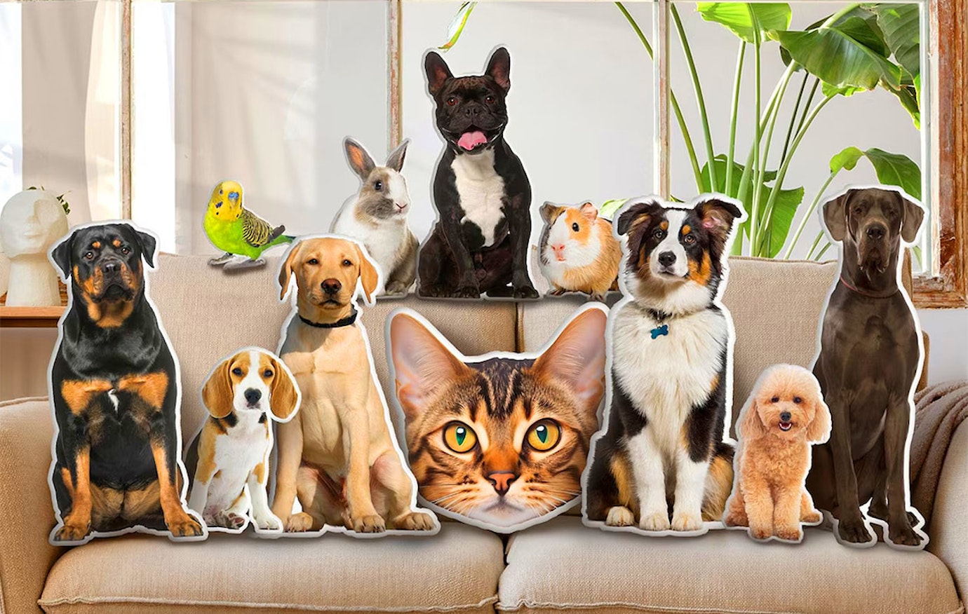 Ontvang €20 korting voor een kussen op maat