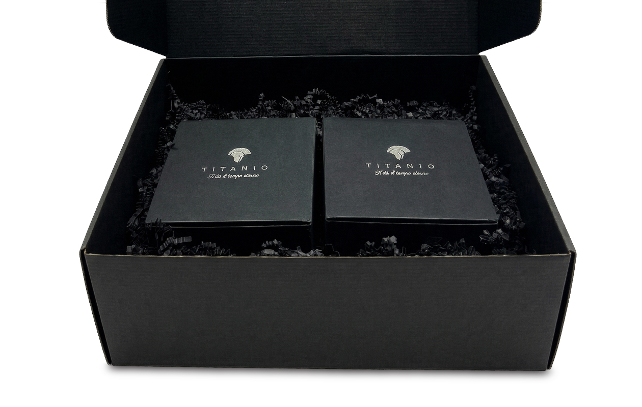 Mystery Box Édition Limitée – 2 Montres pour Homme TITANIO