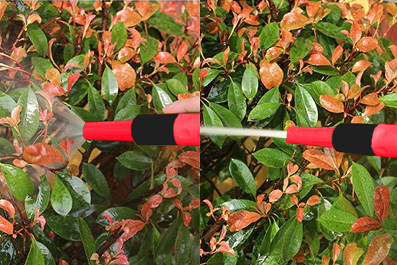 Green series - Uitrolbare Tuinslang- 20 Meter