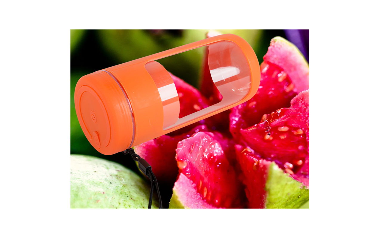 Parya Draagbare Smoothie Blender 450ml