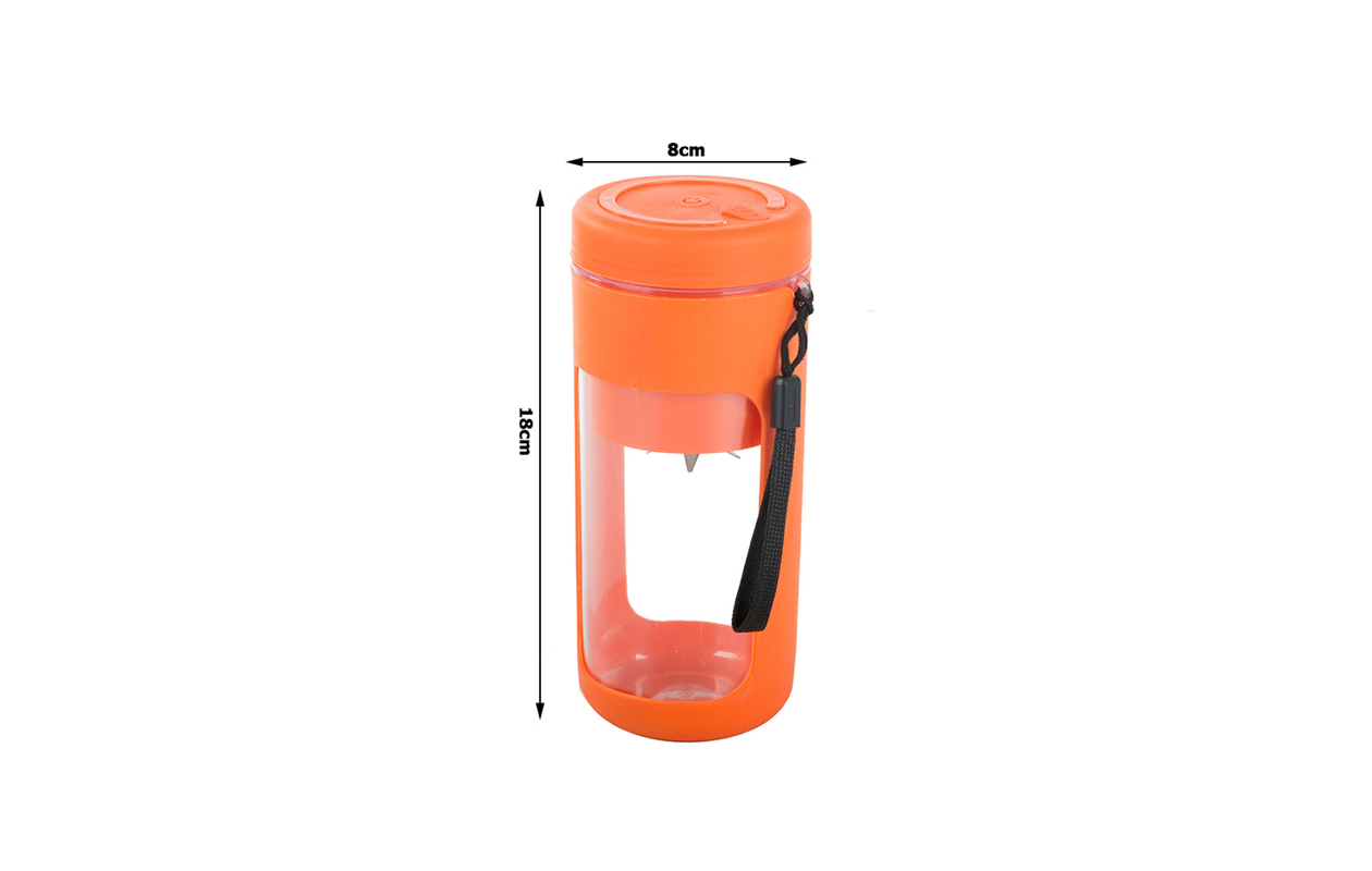 Parya Draagbare Smoothie Blender 450ml