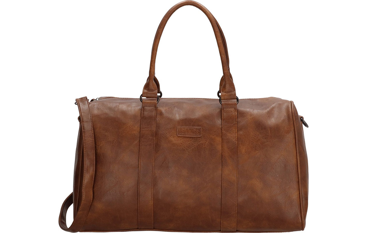 Beagles Murcia Reistas - Bruin