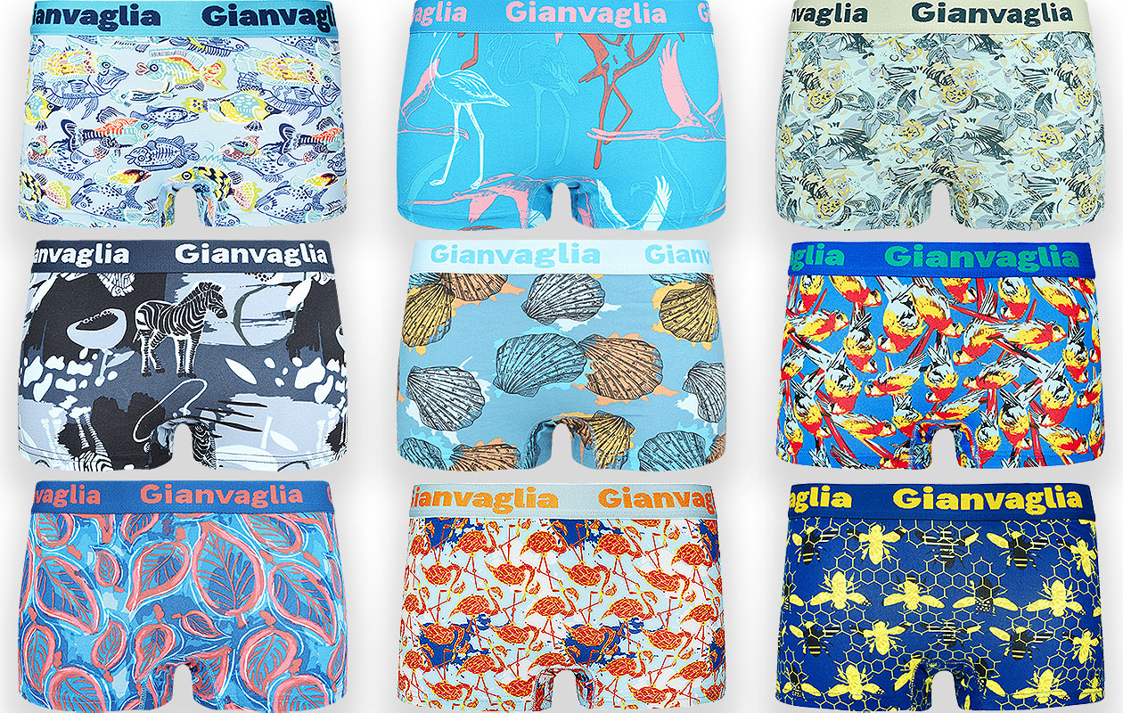 GIANVAGLIA Pack surprise de shortys pour femme (lot de 10)