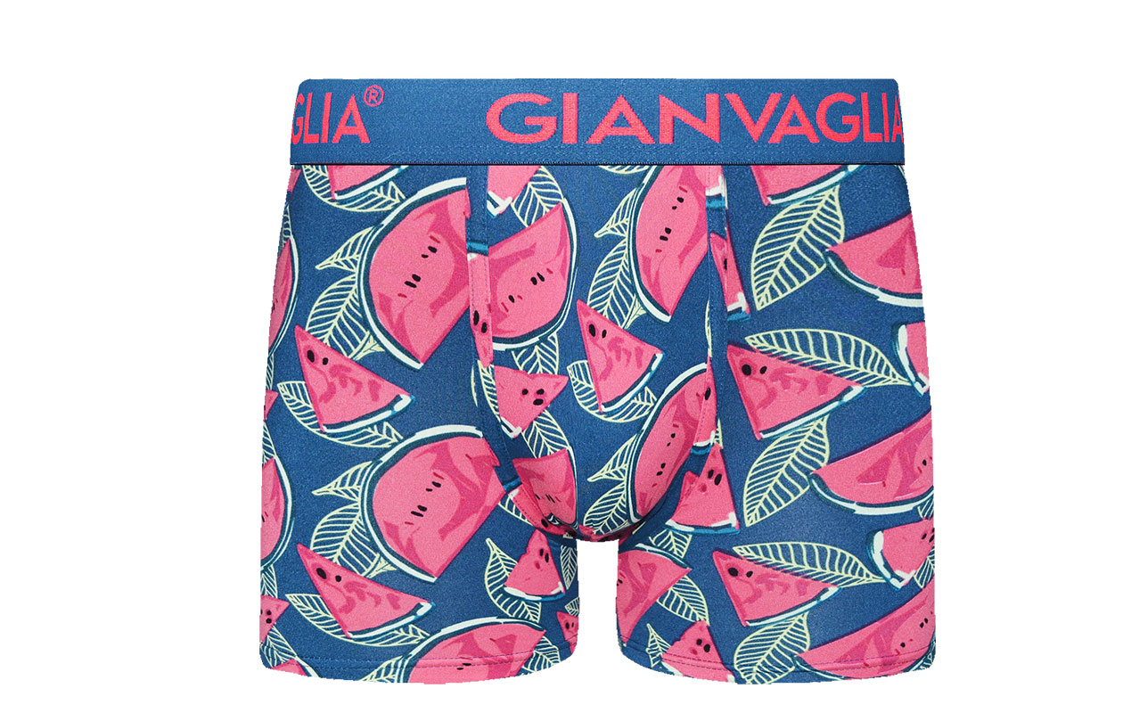 GIANVAGLIA boxers pour homme - lot surprise de 10