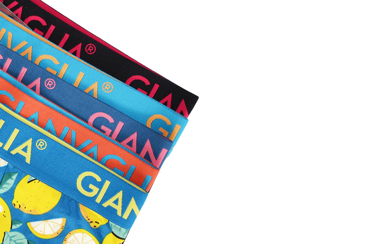 GIANVAGLIA boxers pour homme - lot surprise de 10