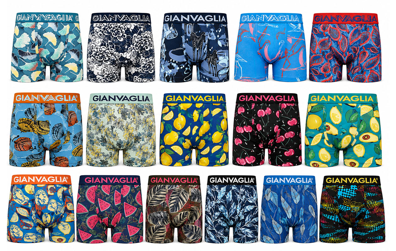 GIANVAGLIA boxers pour homme - lot surprise de 10