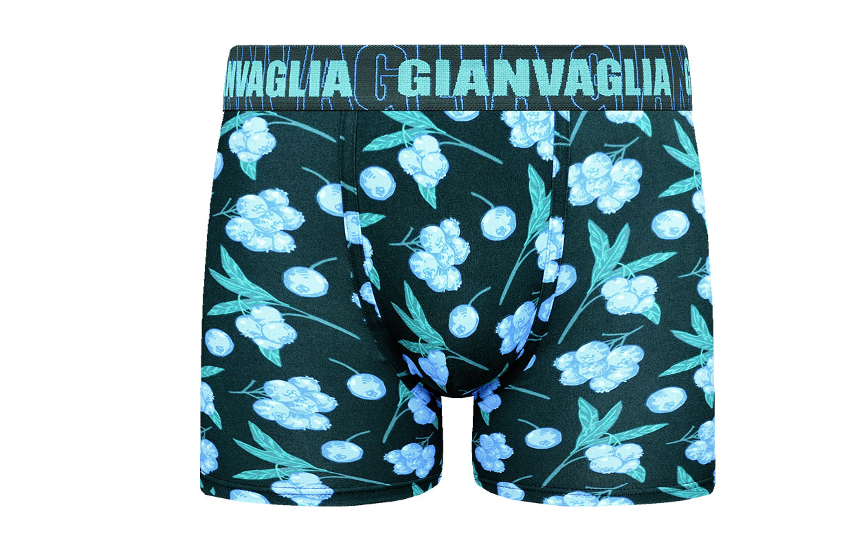 GIANVAGLIA boxers pour homme - lot surprise de 10