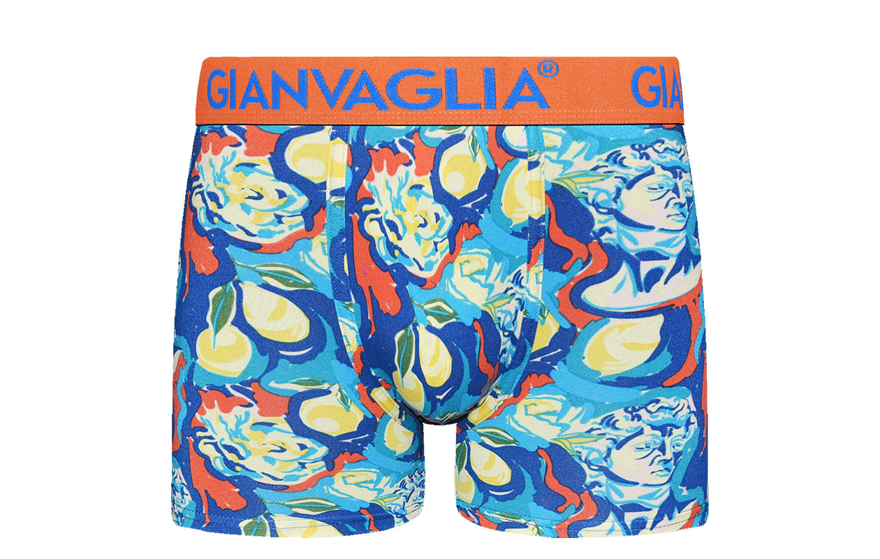 GIANVAGLIA boxers pour homme - lot surprise de 10