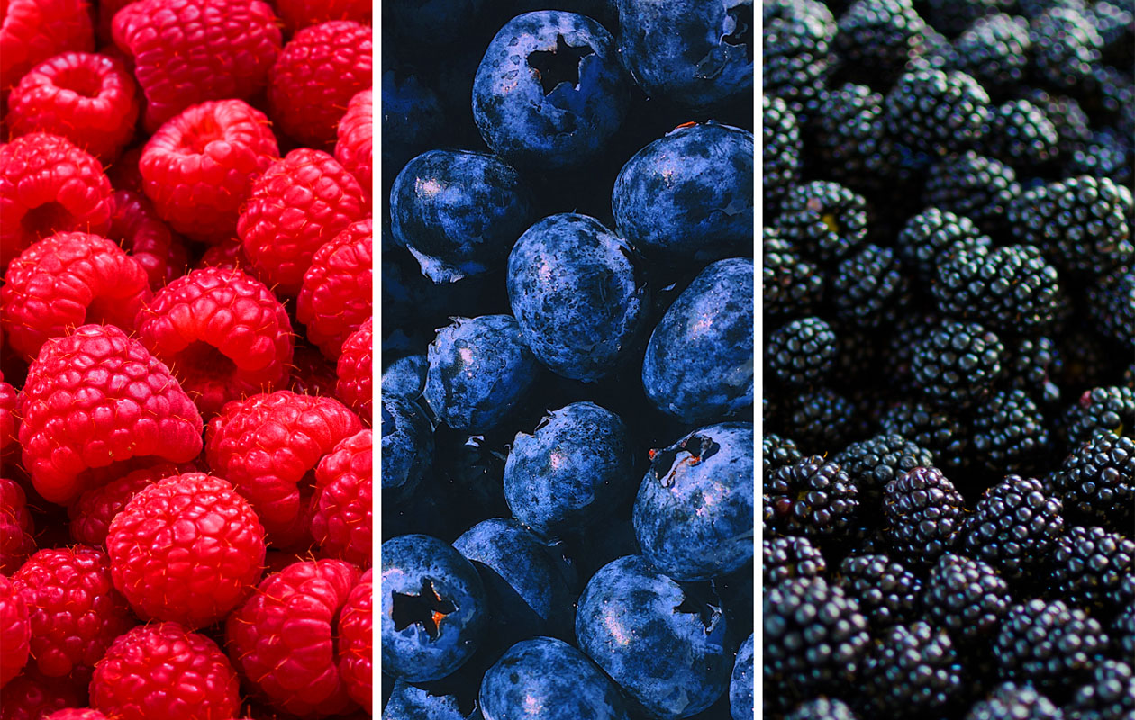 Set van 3 Biologische fruitplanten "Vruchtenparty"