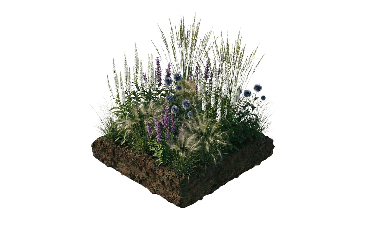 Borderpakket Isa – Kleurrijke mix van vaste borderplanten