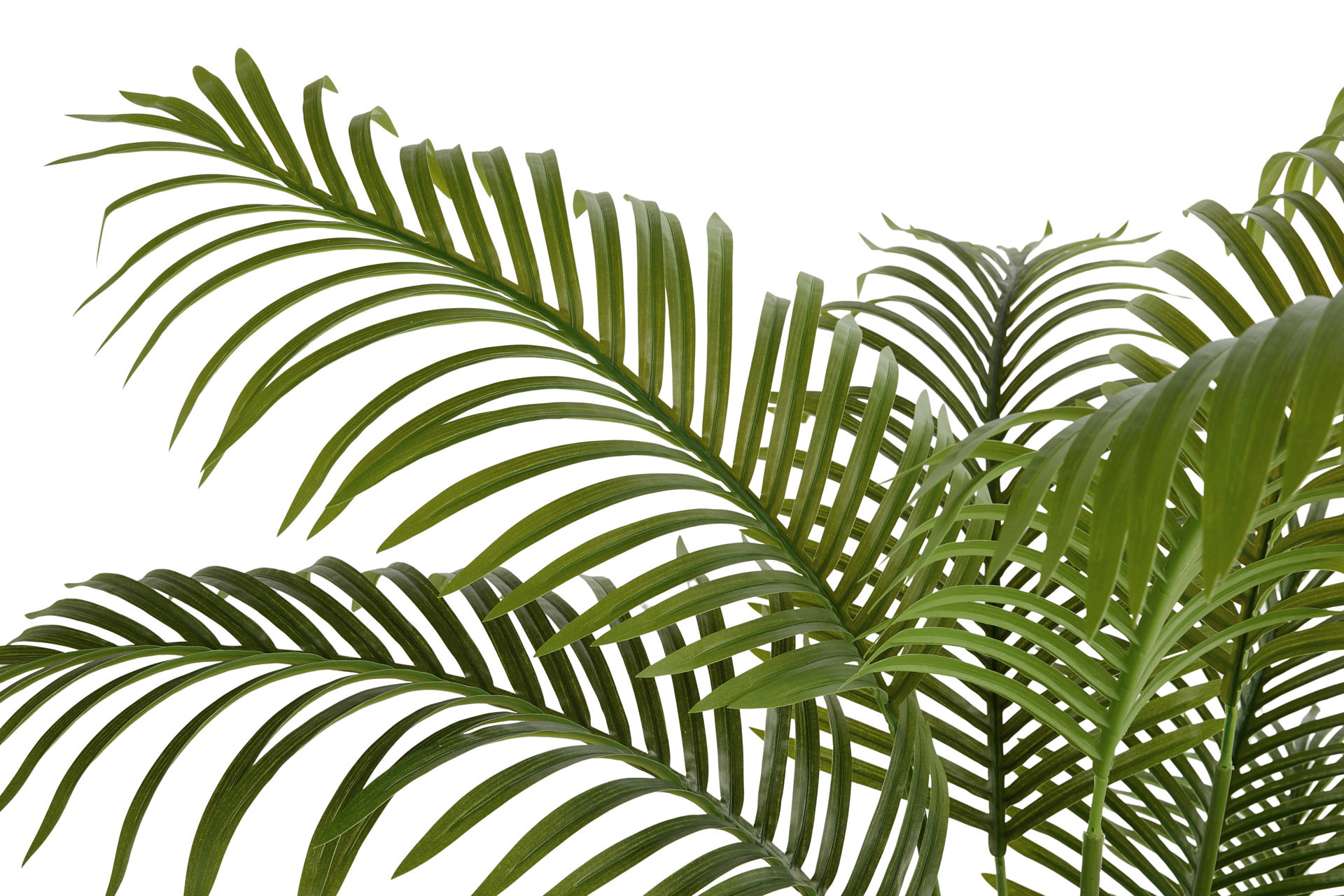 Lifa Living - Kunstplant palm 170cm