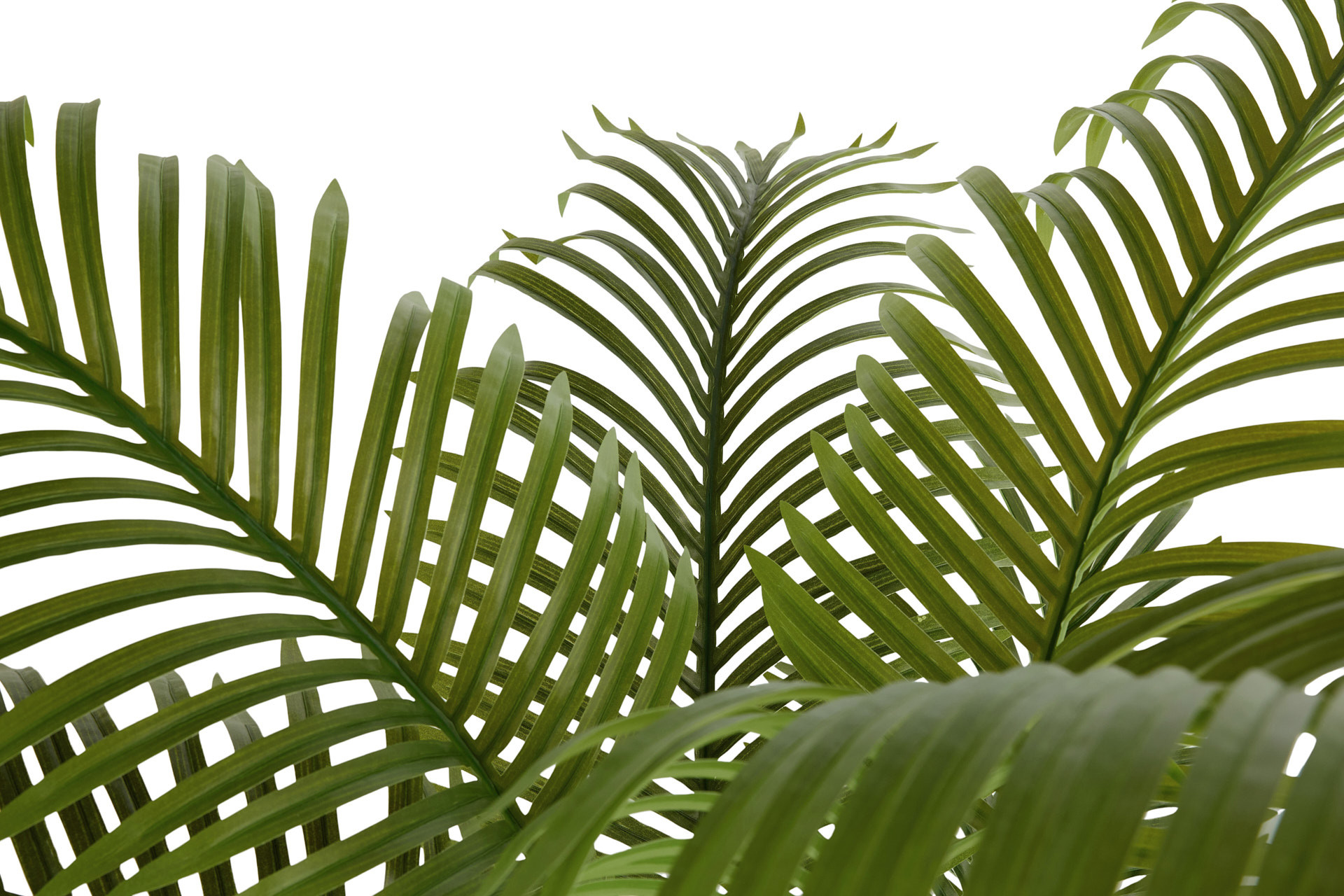 Lifa Living - Kunstplant palm 170cm