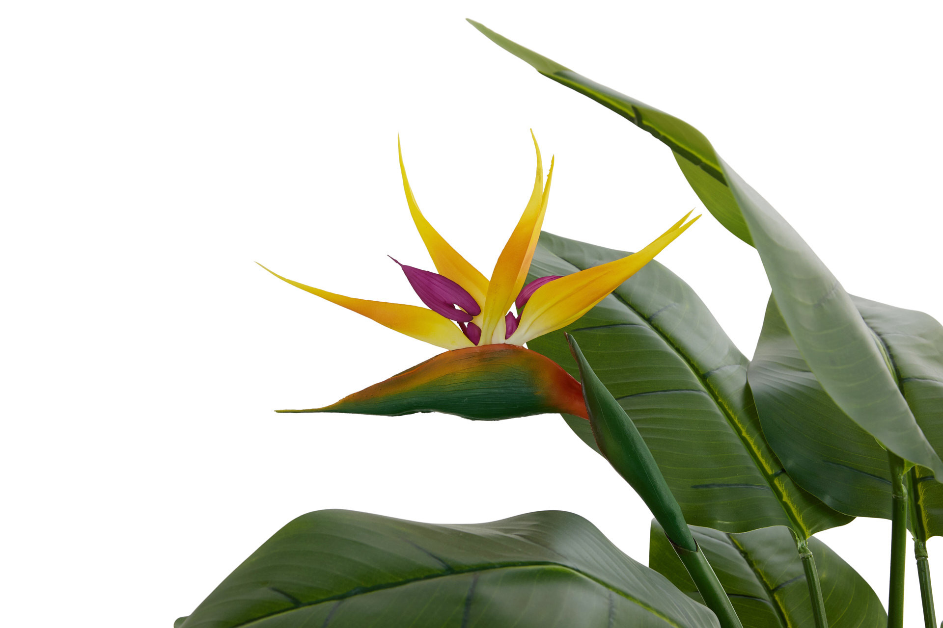 Lifa Living - Kunstplant Strelitzia met oranje bloemen