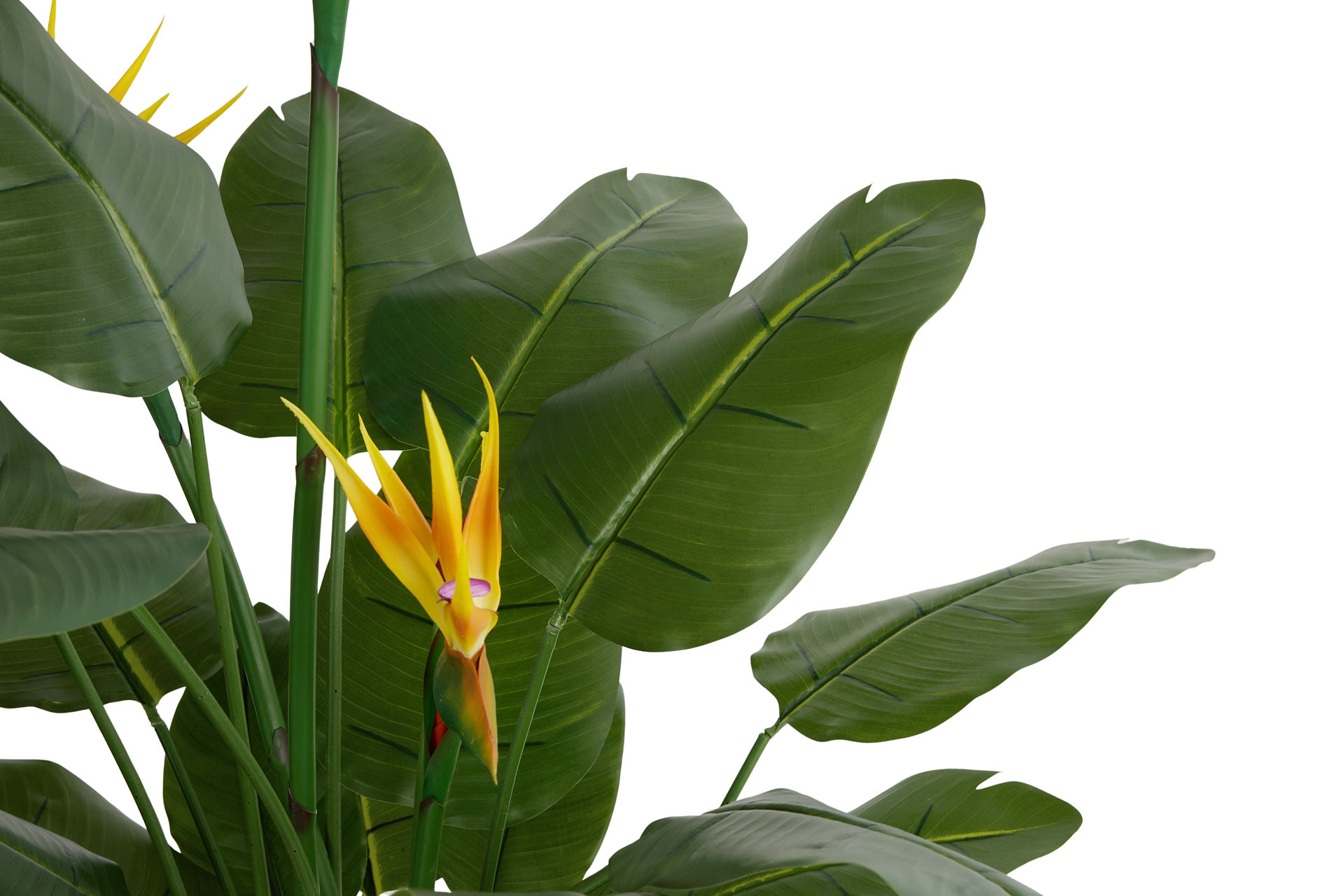 Lifa Living - Kunstplant Strelitzia met oranje bloemen