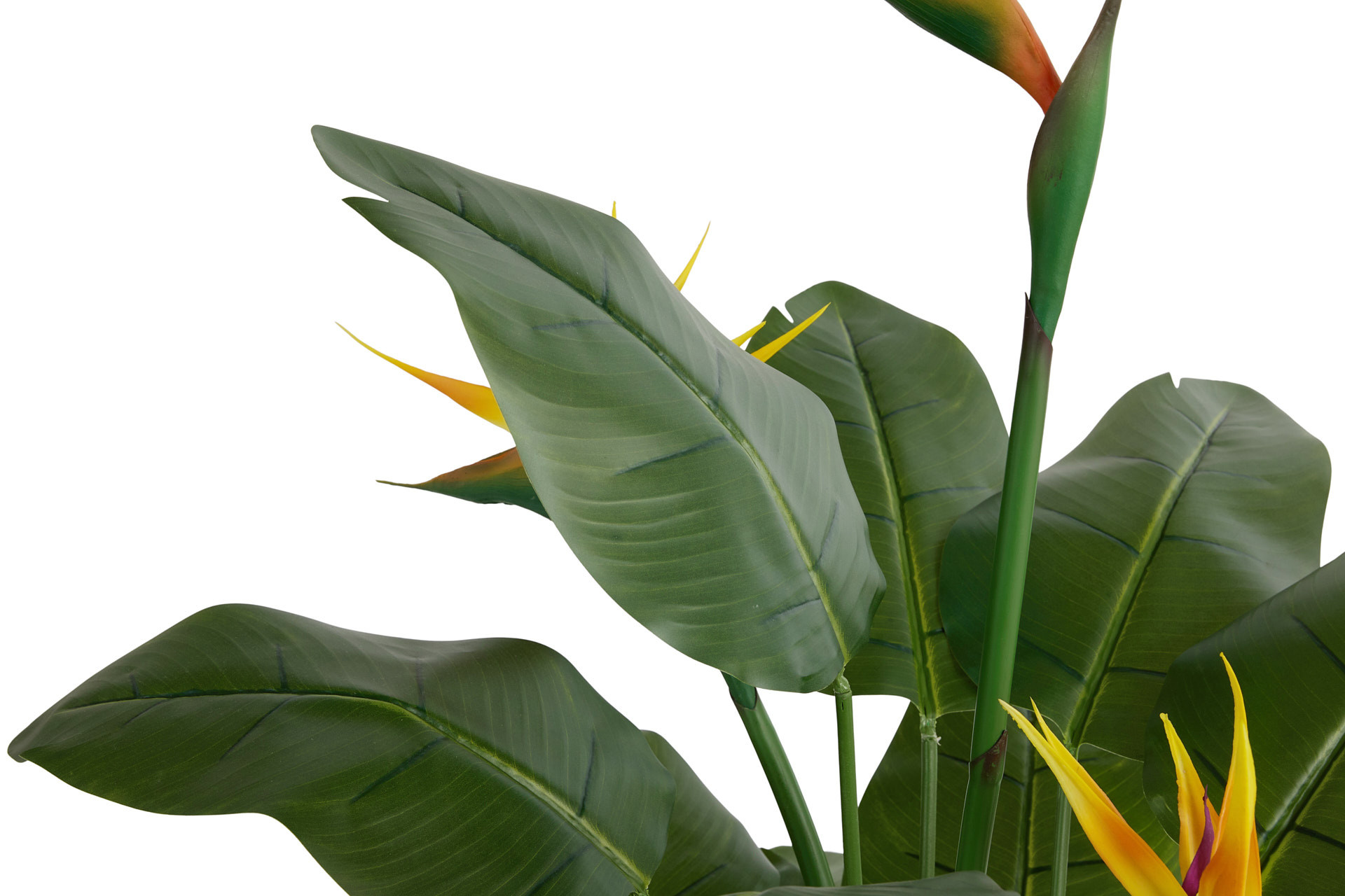 Lifa Living - Kunstplant Strelitzia met oranje bloemen