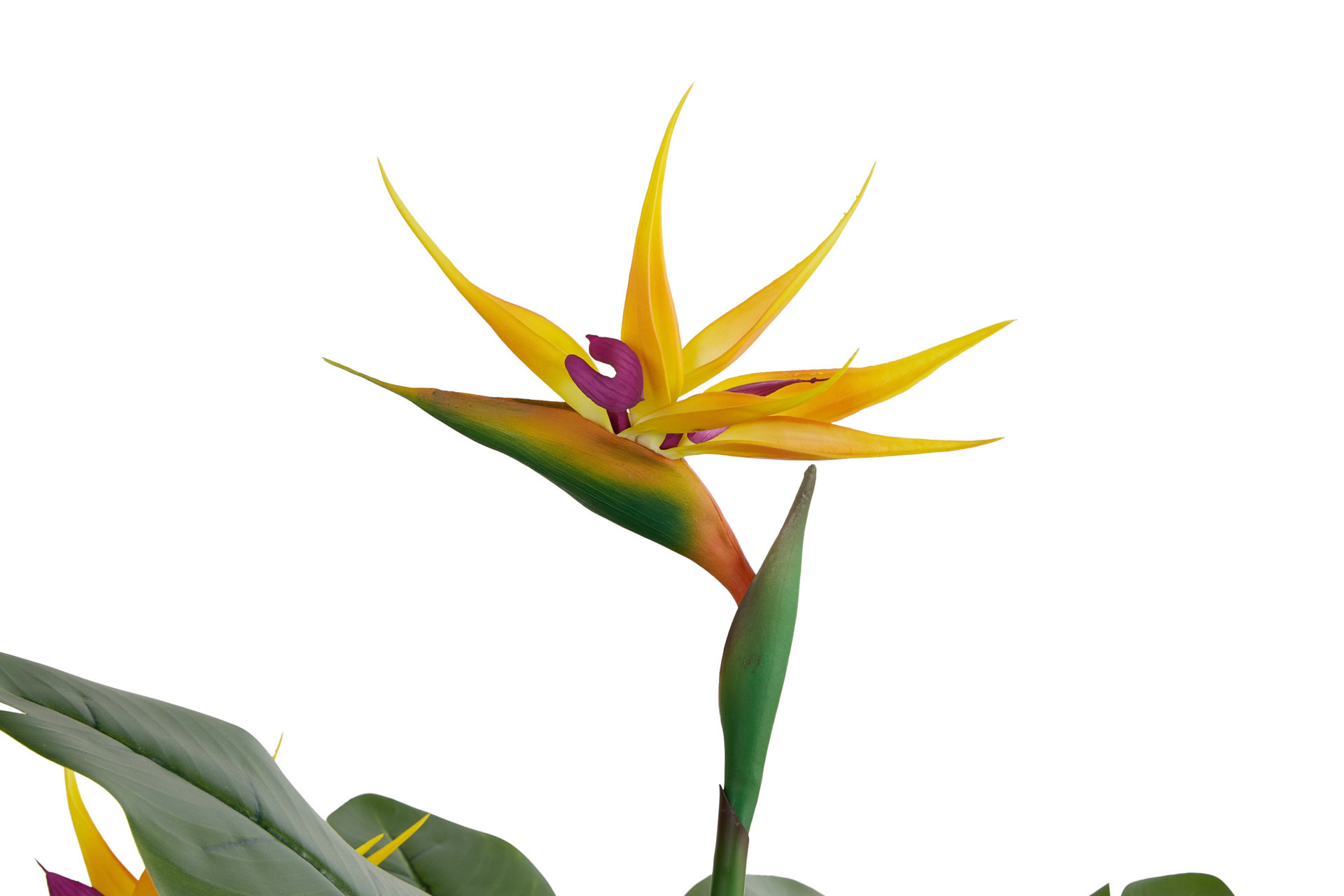 Lifa Living - Kunstplant Strelitzia met oranje bloemen