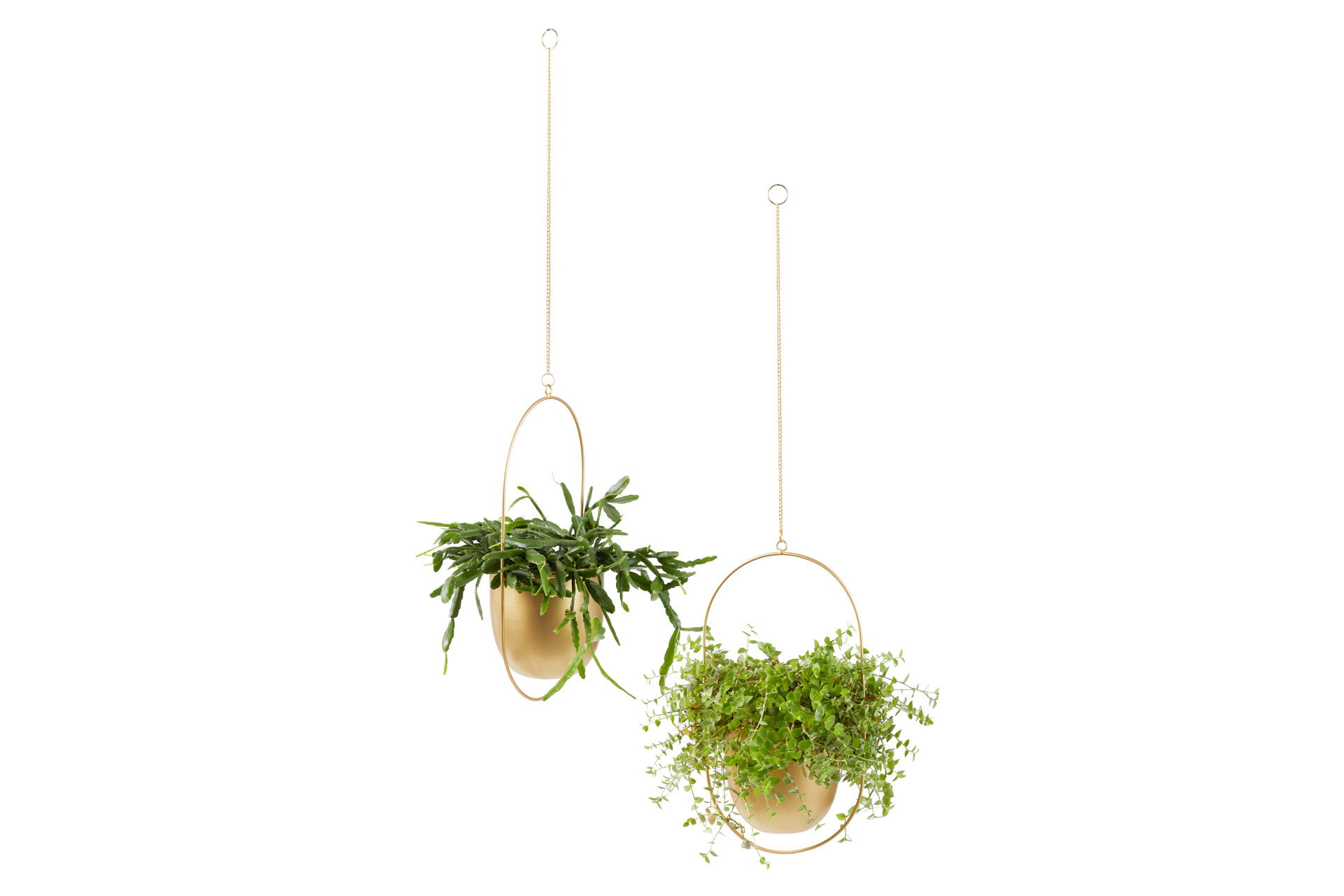 Lifa Living Plantenhanger Liv - Set/2 - Goud
