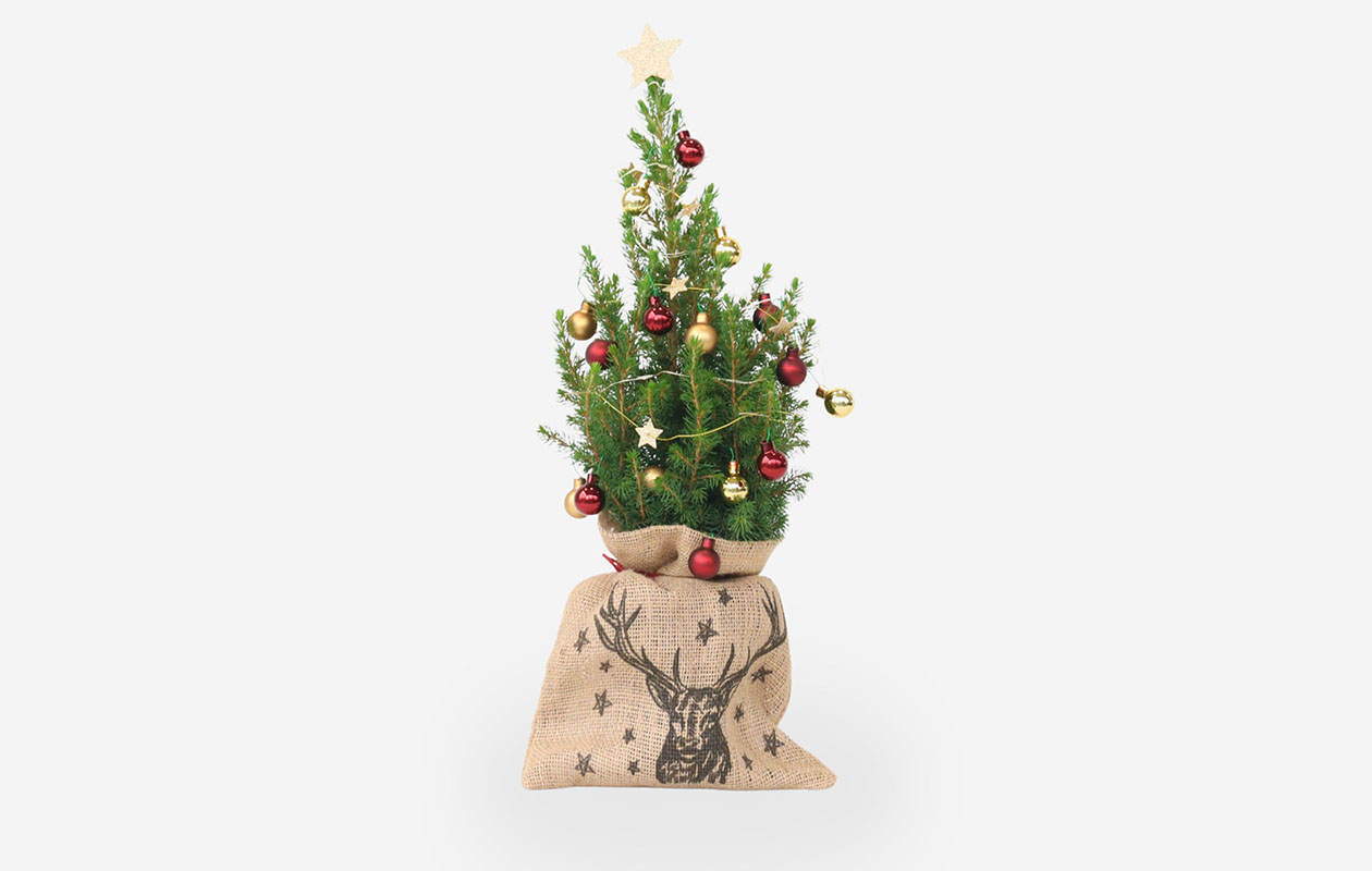 Mini kerstboom met versiering & licht (55 - 65 cm) 