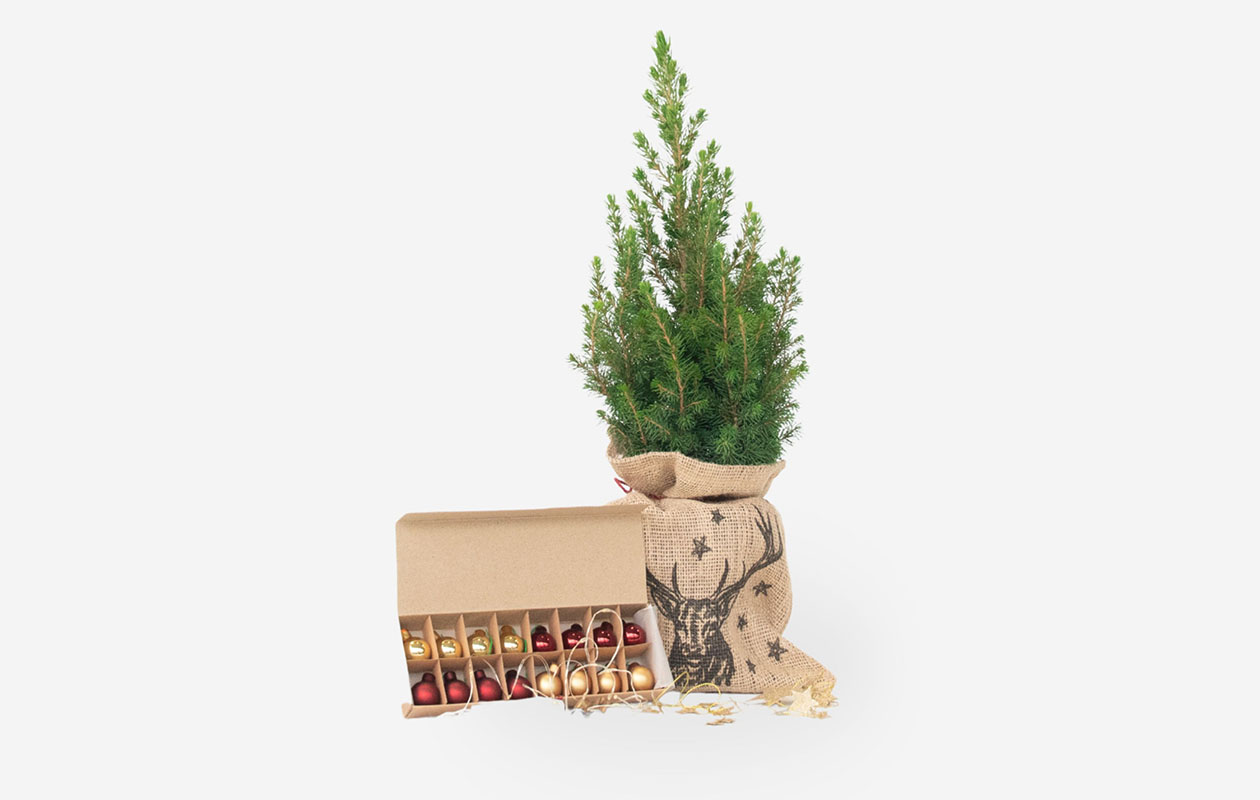 Mini kerstboom met versiering & licht (55 - 65 cm) 