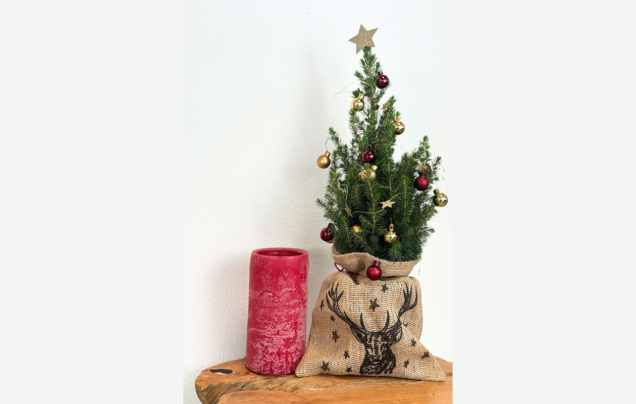 Mini kerstboom met versiering & licht (55 - 65 cm) 