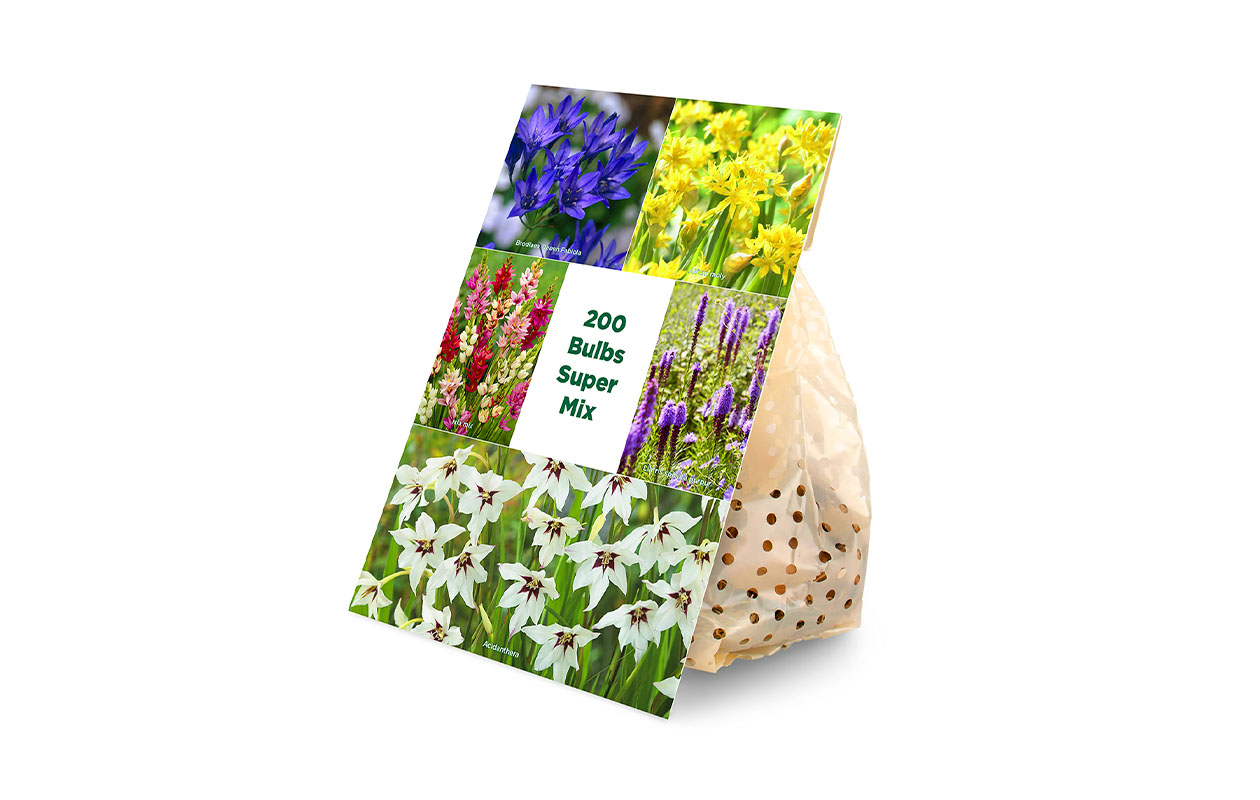 Mix van 200 Zomerbloeiende Bloembolllen 