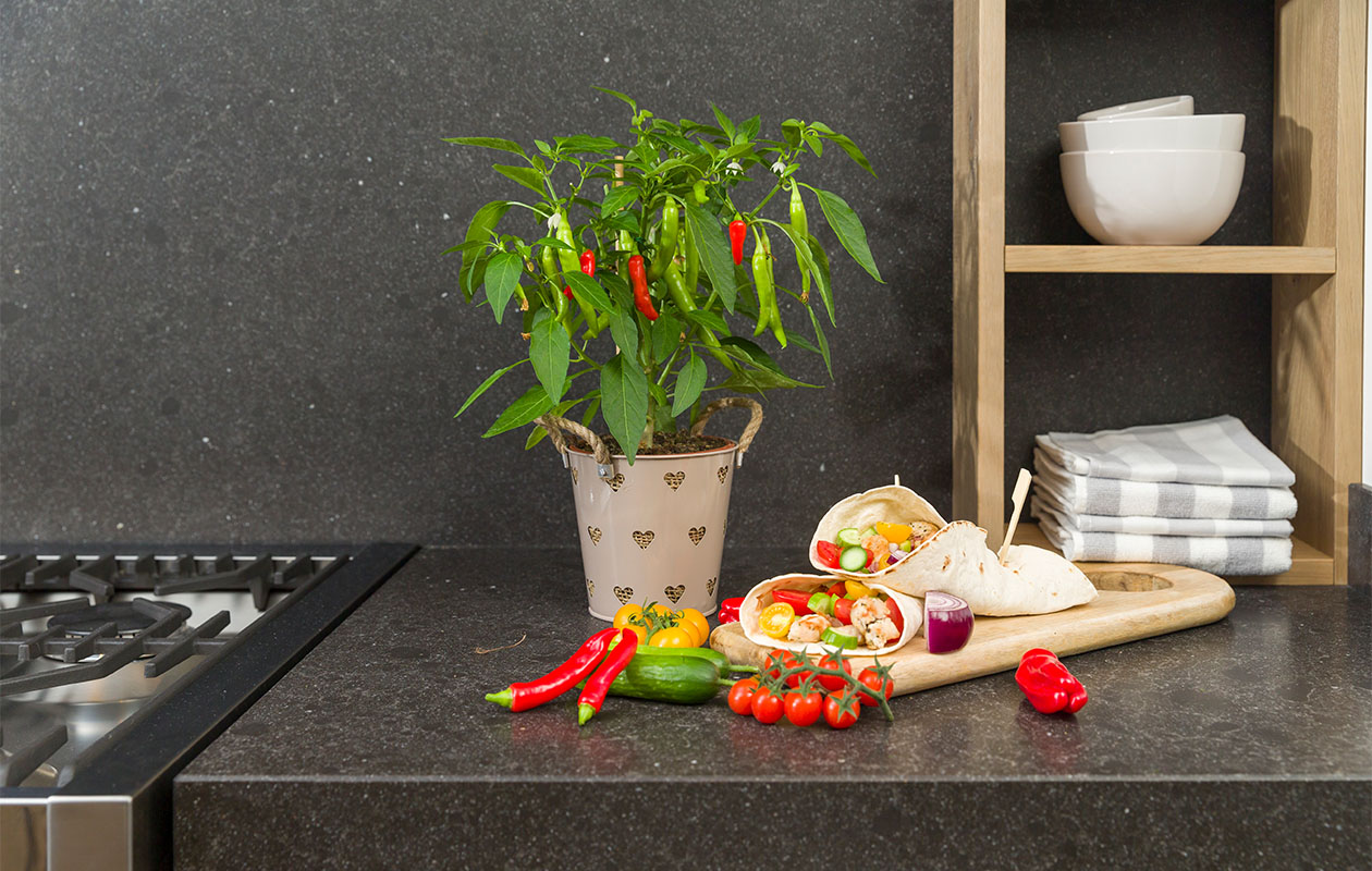 PICK-&-JOY® Hot Chili Red