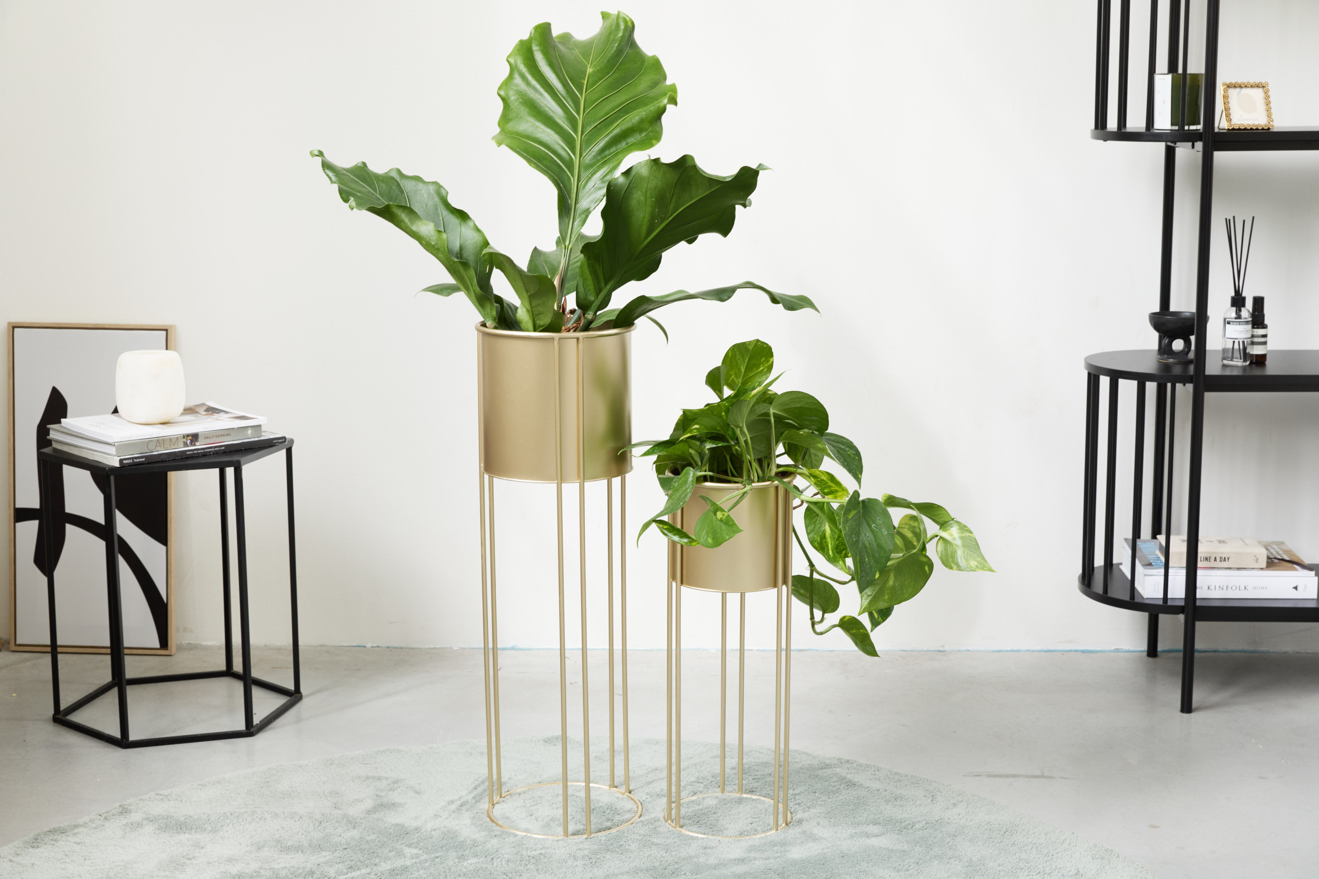 Plantenbak Mila - Set van 2