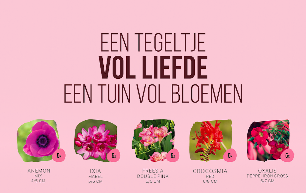 Een vrolijk tegeltuintje met 25 bloembollen