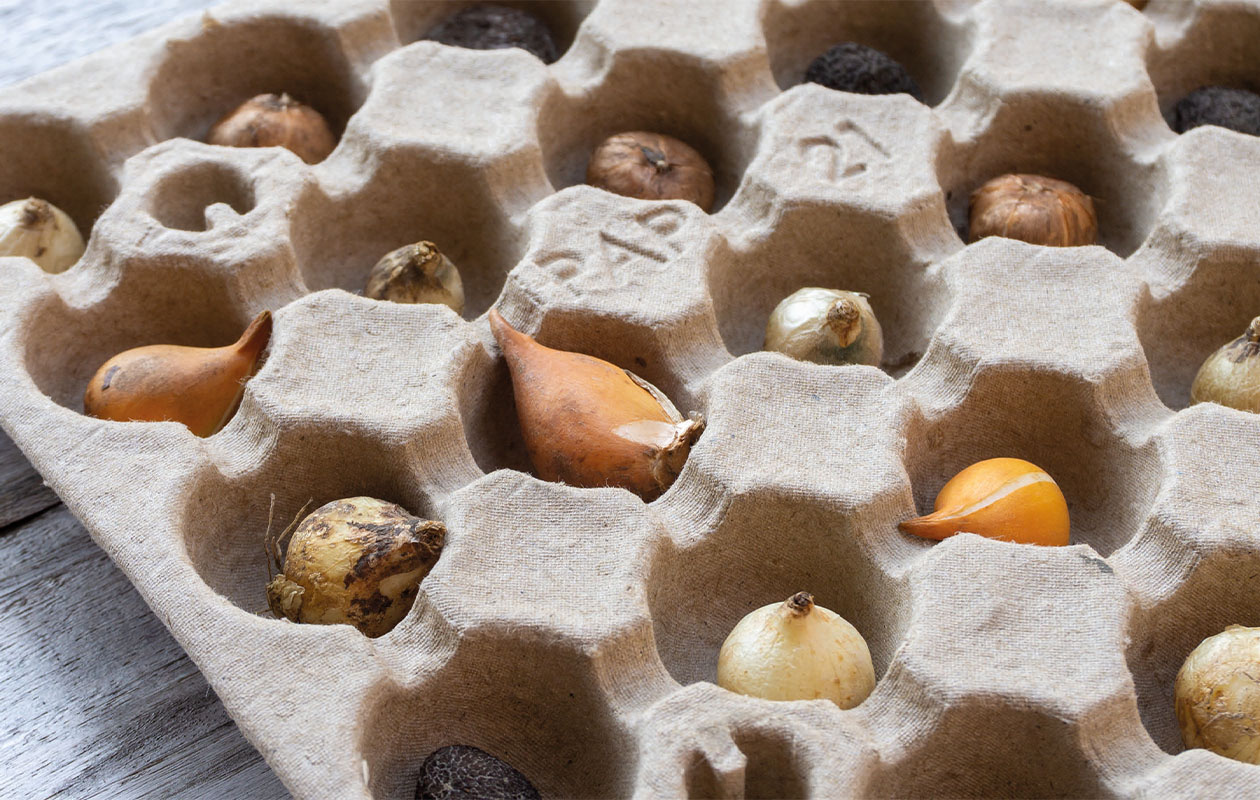 Een vrolijk tegeltuintje met 25 bloembollen