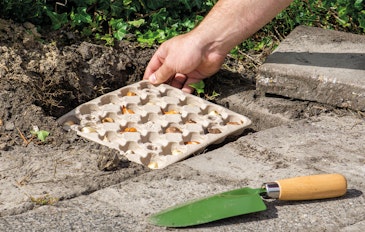 Een vrolijk tegeltuintje met 25 bloembollen