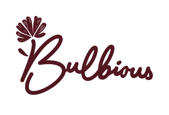 Een vrolijk tegeltuintje met 25 bloembollen