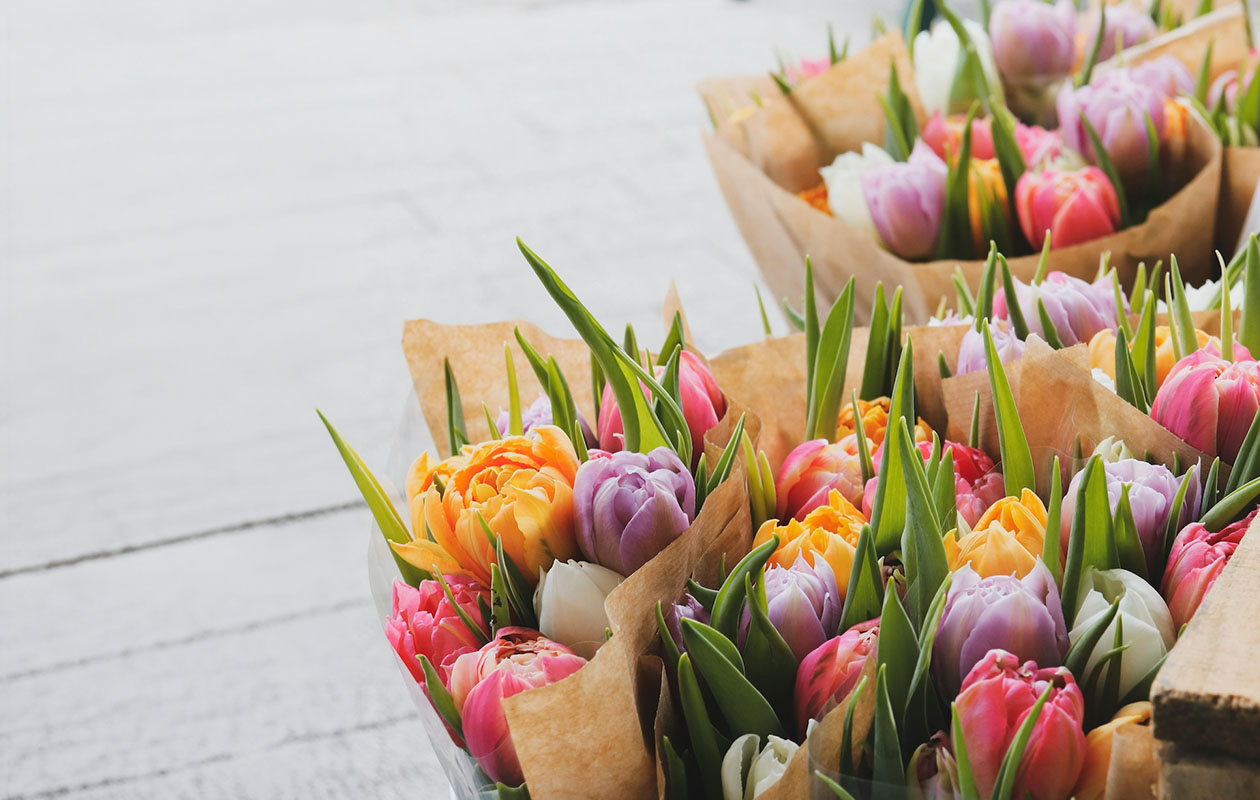 Tulipes par la poste – 10 pièces en différentes couleurs