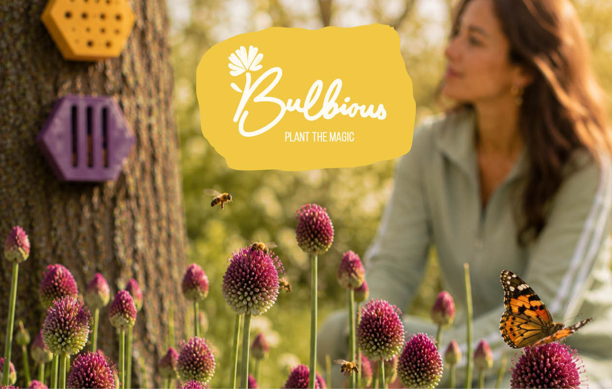 Bon d’achat pour une maison à abeilles ou à papillons de Bulbious