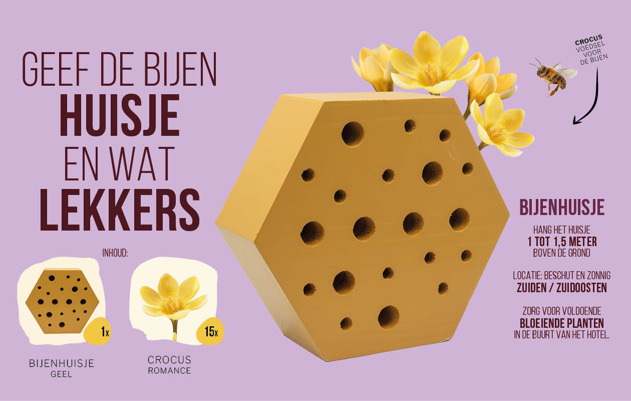 Bon d’achat pour une maison à abeilles ou à papillons de Bulbious