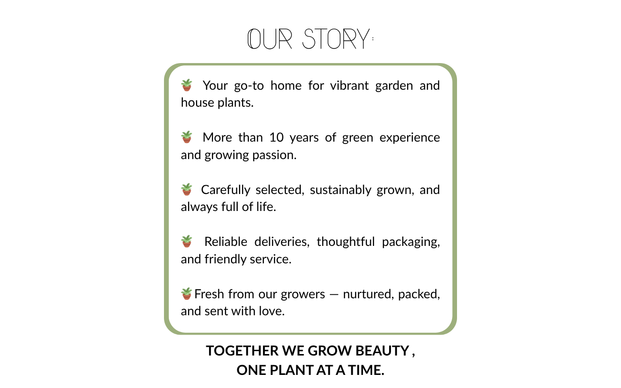 Plants de lavande blanche - 6 pièces (NatureNest)