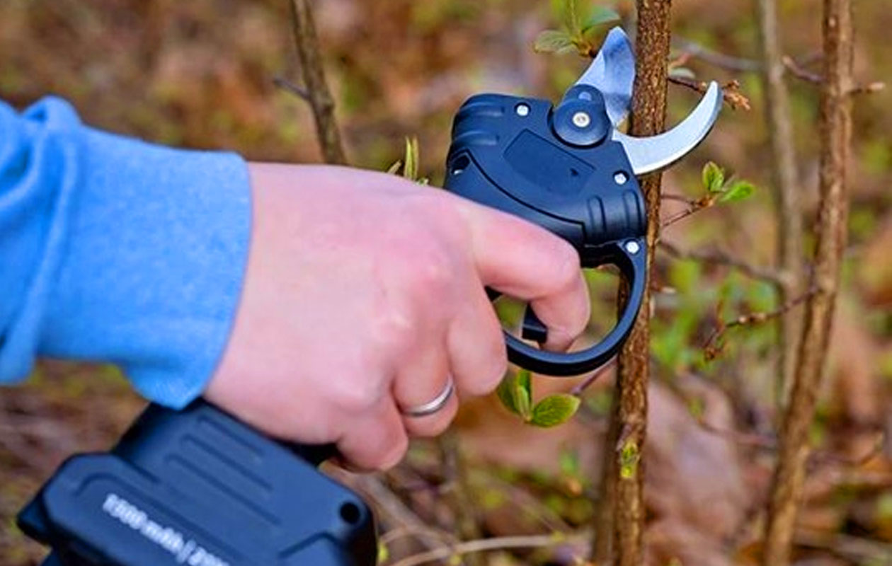 QLT elektrische snoeischaar met accu