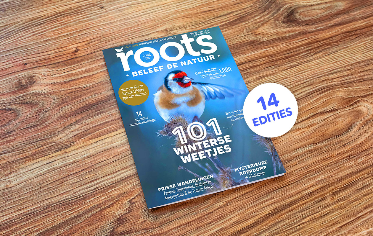 Jaarabonnement op Roots (14 edities)