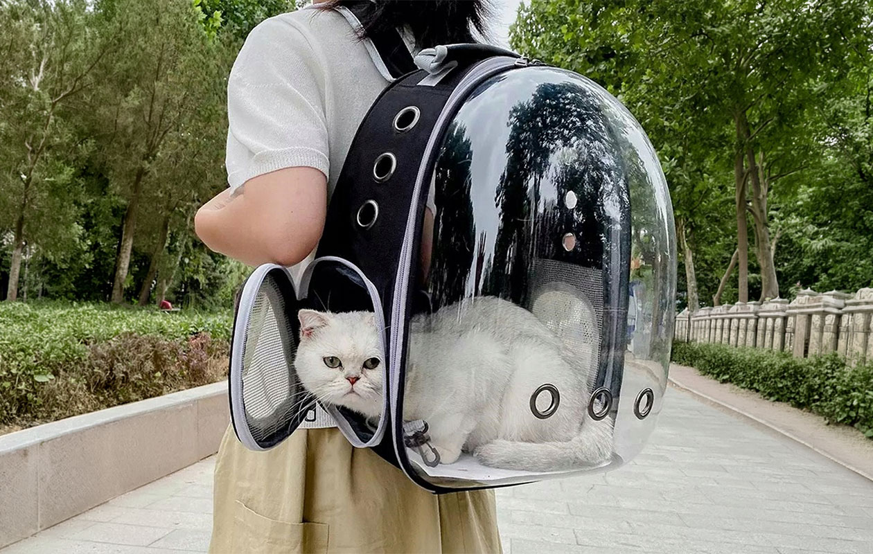 Sac à dos de transport Aptel pour chat et chien